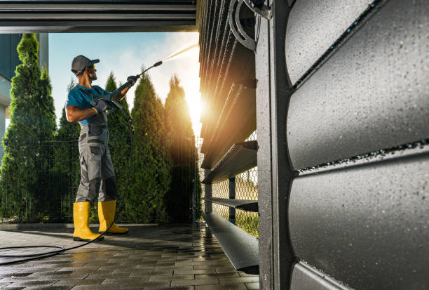 Best Solar Panel Cleaning  in Muenster, TX